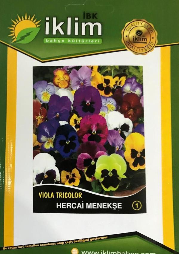 HERCAİ MENEKŞE ÇİÇEĞİ TOHUMU-1 KARIŞIK RENK - Image 1