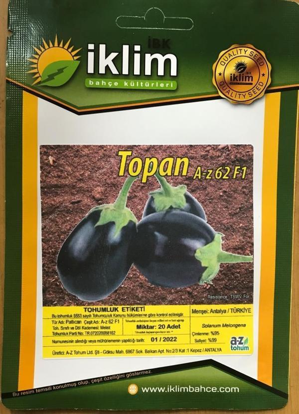 Patlıcan Tohumu Hibrit A-Z-62-F1 TOPAN PATLICAN - 20 Adet Tohumluk - Image 1
