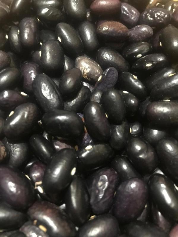YERLİ BEYAZ TURŞULUK UZUN-ENLİ SIRIK FASULYE TOHUMU 100 GR (MOR-UZUN TOHUM) - Image 1