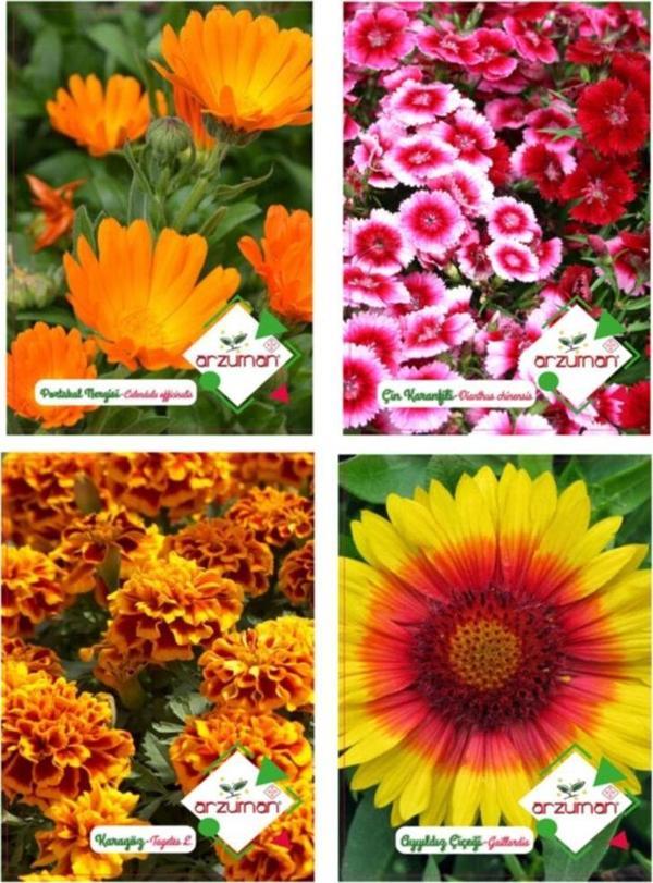 PORTAKAL NERGİZİ-ÇİN KARANFİLİ-KARAGÖZ-AYYILDIZ 4'LÜ ÇİÇEK TOHUM SETİ - Image 1