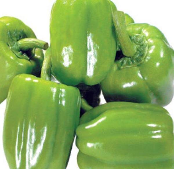 Yerli Ata Tohumu Dolma Biber 100 Adet - Image 1