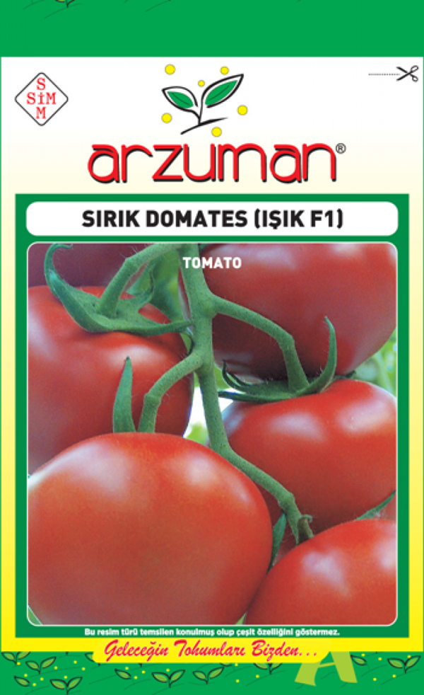 IŞIK (SIRIK F1) DOMATES TOHUMU 10 AD TOHUM - Image 1