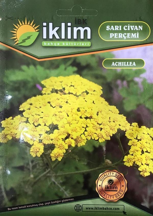 Sarı Civan Perçemi Çiçek Tohumu - Takribi 20 Tohum) - Image 1