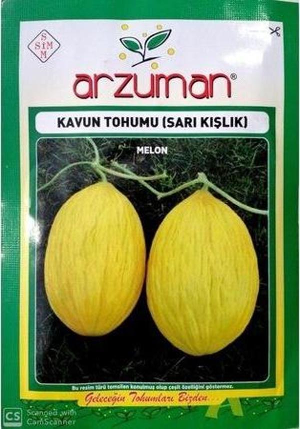 SARI KIŞLIK KAVUN TOHUMU 10 GR ORT 200 AD TOHUM - Image 1