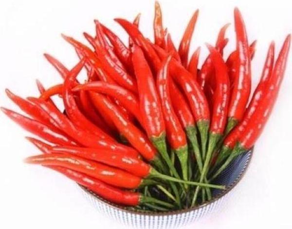 Ithal Çok Acı Hint Biberi Tohumu 100 Adet - Image 1