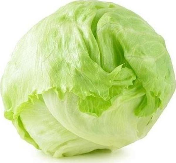 Yerli Ata Tohumu Göbek Marul 100 Adet - Image 1
