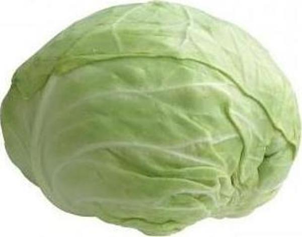Yerli Dolmalık Beyaz Top Lahanası Tohumu 10 Gr (Ort 2000 Ad) - Image 1