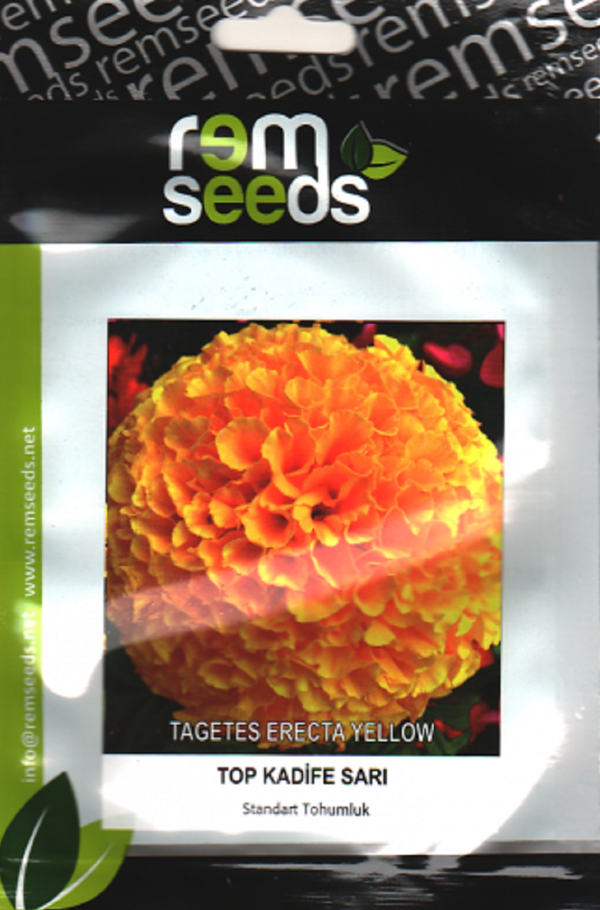 SARI TOP KADİFE ÇİÇEK TOHUMU (TAKRİBİ 50 ADET TOHUM) - Image 1