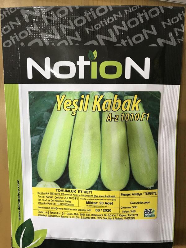 KABAK TOHUMU F1 YEŞİL KABAK - 20 Adet Tohumluk - Image 1