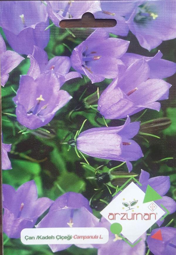 KADEH/ÇAN ÇİÇEĞİ TOHUMU 100 ADET TOHUM - Image 1