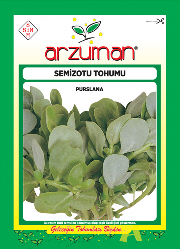 SEMİZOTU TOHUMU 10 GR ORT 4000 AD TOHUM - Image 1