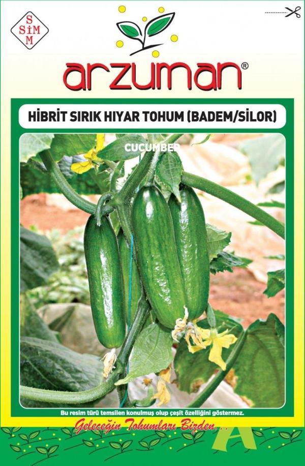 SİLOR-BADEM F1 SIRIK SALATALIK TOHUMU 10 AD TOHUM - Image 1