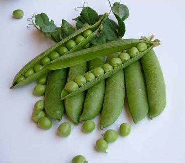 Yerli İri Tane Bezelye Tohumu 50 Gr (Takribi 150 tohum) İlaçlı - Image 1