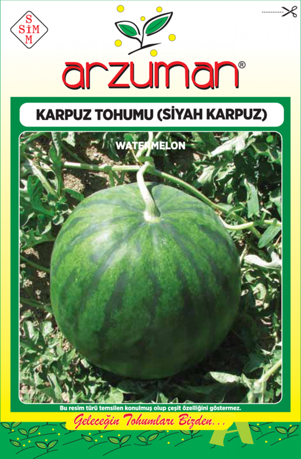 SİYAH KARPUZ TOHUMU 10 GR ORT 100 AD TOHUM - Image 1