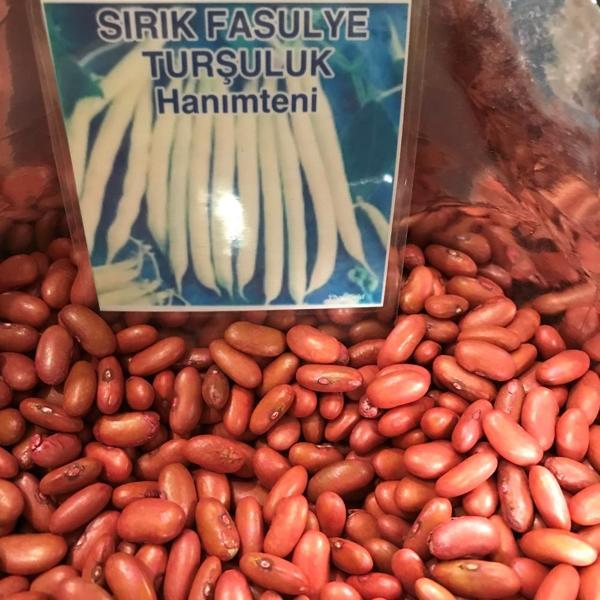 YERLİ TURŞULUK SIRIK FASULYE TOHUMU 100 GR (HANIMTENİ) - Image 1