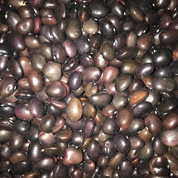 YERLİ UZUN ENLİ TURŞULUK SIRIK FASULYE TOHUMU 500 GR (MOR) - Image 1