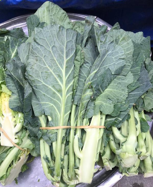 YERLİ KELEM AZMANI LAHANA TOHUMU 25 GR TAKRİBİ 5000 ADET TOHUM - Image 1