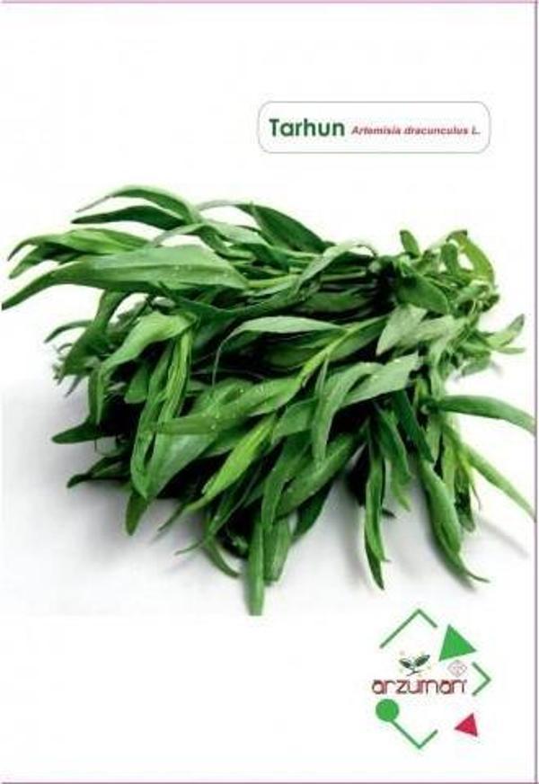 TARHUN TOHUMU 50 ADET - Image 1