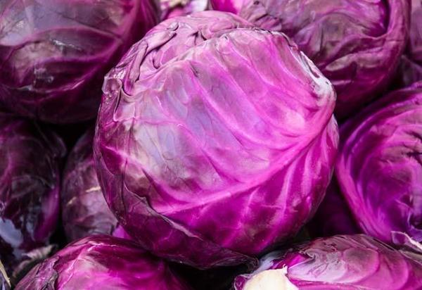 Yerli Kırmızı Mor Lahana Tohumu 10 Gr (Ort 2000 Ad Tohum) - Image 1