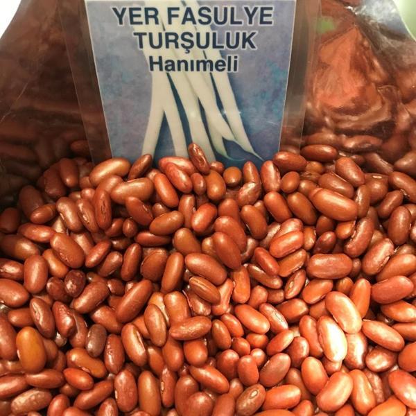 Yerli Ata Tohumu Oturak Hanımeli Turşuluk Fasulye 25 Gr - Image 1