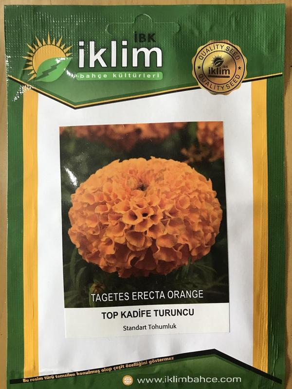 TURUNCU TOP KADİFE ÇİÇEK TOHUMU (TAKRİBİ 50 ADET TOHUM) - Image 1