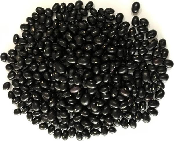 YERLİ SIRIK FASULYE TOHUMU (SİYAH) 100 GR - Image 1