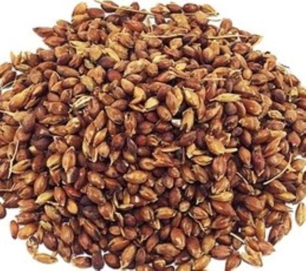 Yerli Süpürge Otu Tohumu 25 Gr - Image 1