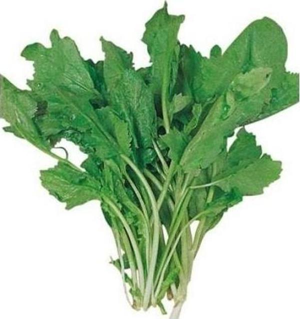 Yerli Tere Tohumu - 10 Gr (Ort 3000 Ad Tohum) - Image 1