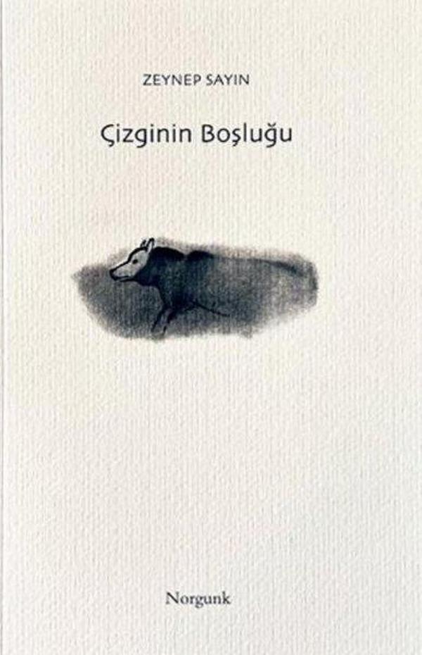Çizginin Boşluğu - Norgunk Yayıncılık - Image 1