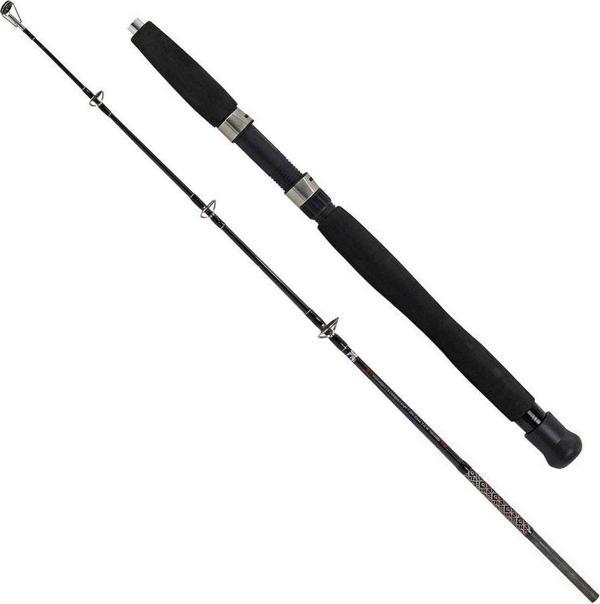 Albastar Boat 150cm 100-200g Kamış   - Image 1