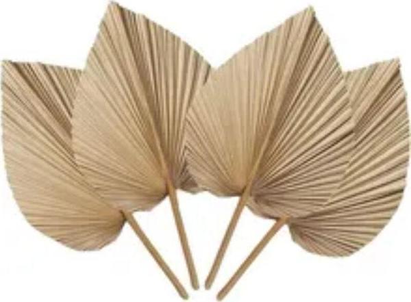 Wisha Natural Doğal Dekoratif Palmiye Yaprağı 4Lü Set- Modern Ev Aksesuarı - Image 1