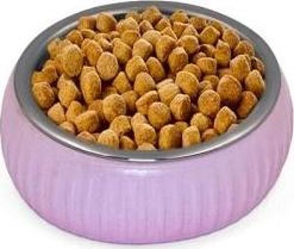 Mikopet Organik Seramik Mama Kabı Pembe - Image 1