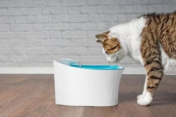 Otomatik Uyarılı Kedi Köpek Su Kabı - Image 1