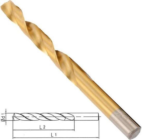 Rico 008-RT4497 Titanyum Kaplı Matkap Uç Metal 17mm - Image 1