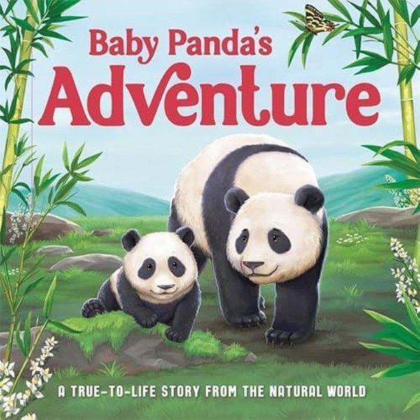 Baby Panda's Adventure - Bonnier Books UK - Image 1