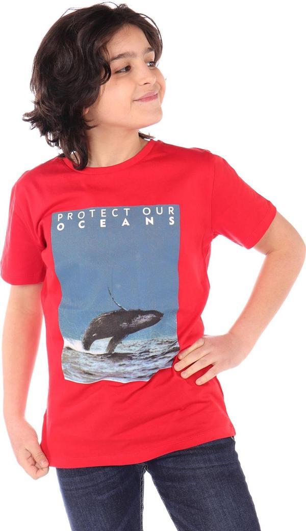 Toontoy Erkek Çocuk Baskılı Tişört - Image 1