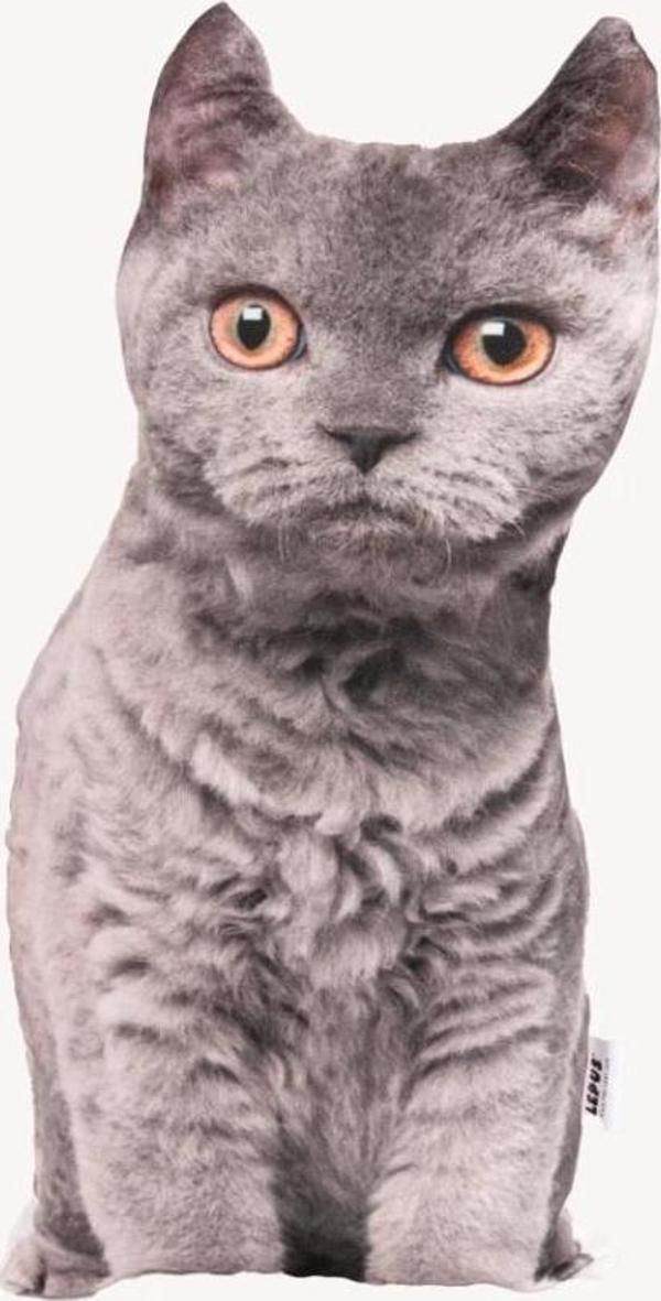 Lepus 3 Boyutlu Kedi Yastığı British No 3 40x25 C - Image 1
