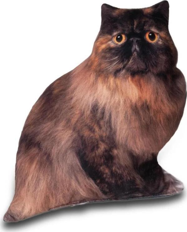 Lepus 3 Boyutlu Kedi Yastığı No 6 40x25 Cm - Image 1