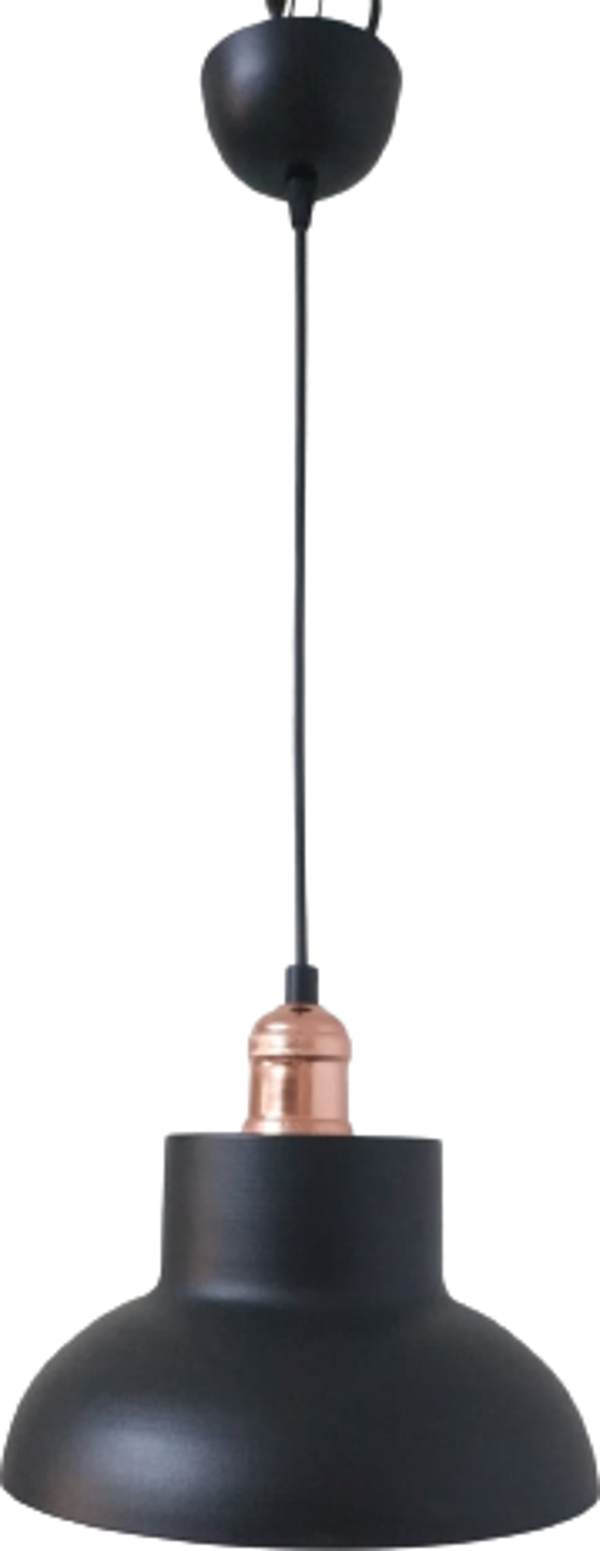 Rys Retro Metal Siyah içi Gold Dekoratif Tekli Sarkıt Avize çap.25 cm - Image 1