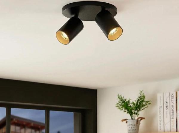 Rsylight Retro Metal 2 li Hareketli Spot Led Avize Gün Işığı Ampullü - Image 1