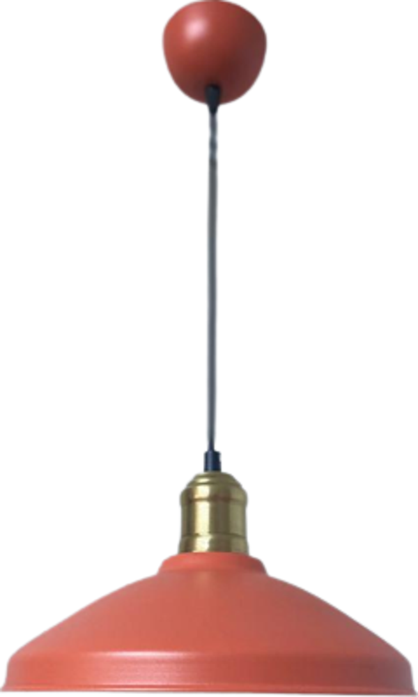 Rsylight Retro Metal Rustik Dekoratif Nar Çiçeği Tekli Sarkıt Avize çap:25 cm - Image 1
