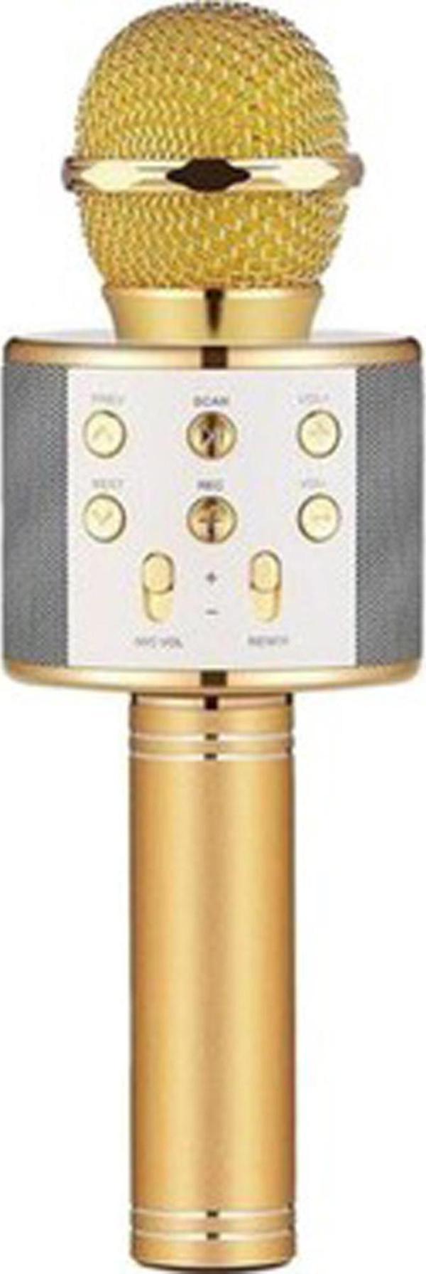 Winex UsbA+TF Sd Kart+3.5mm Aux Girişli Bluetooth Karaoke Mikrofonu Gold - Image 1