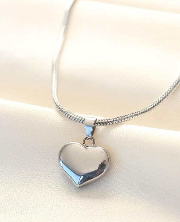 316L Çelik Gümüş Renk Kalp Kolye - Image 1
