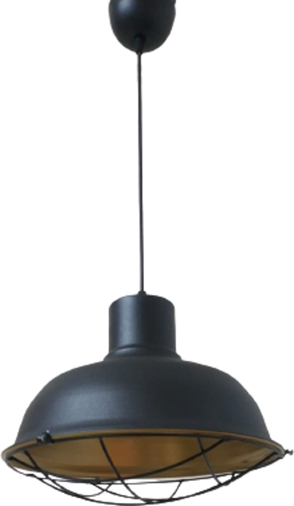 Rys Retro Metal Siyah Dekoratif Kafesli Siyah İçi Gold Kafe Mutfak Avize Çap:30 cm - Image 1