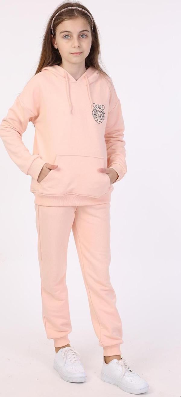 Toontoy Kız Çocuk Nakışlı Eşofman Takım - Image 1