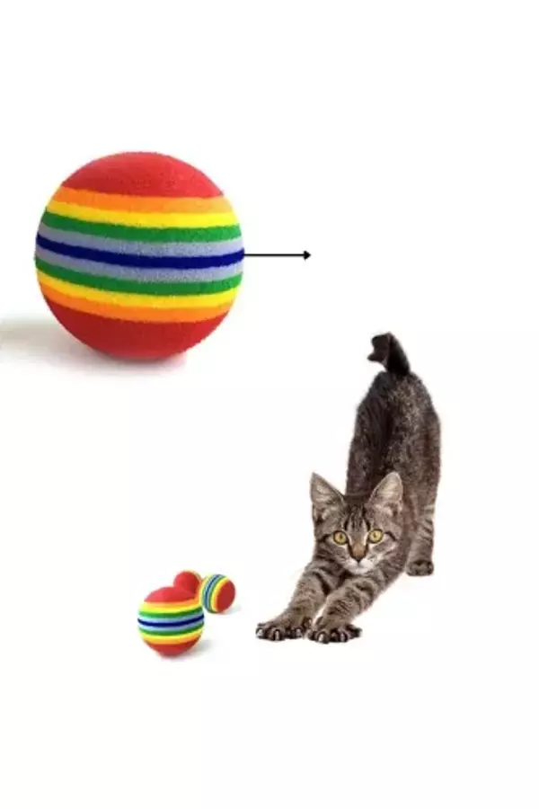 Sünger Kedi Köpek Çiğneme Ve Oyun Topu 4 Adet - Image 1