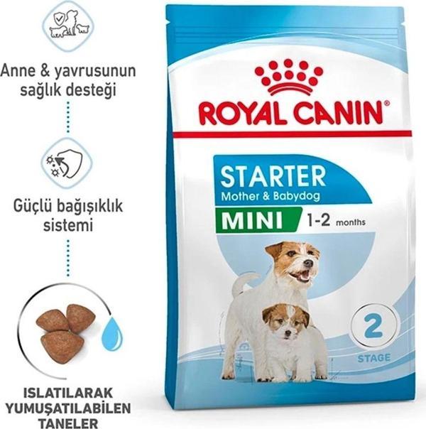 Royal Canin Mini Starter Mother&Babydog Küçük Irk Yavru Köpek Maması 4 kg - Image 1