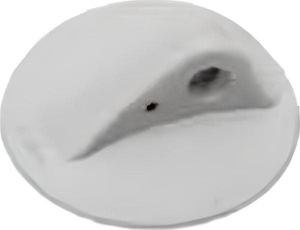 ŞİŞME BOT HALAT GEÇİŞİ GRİ - Image 1