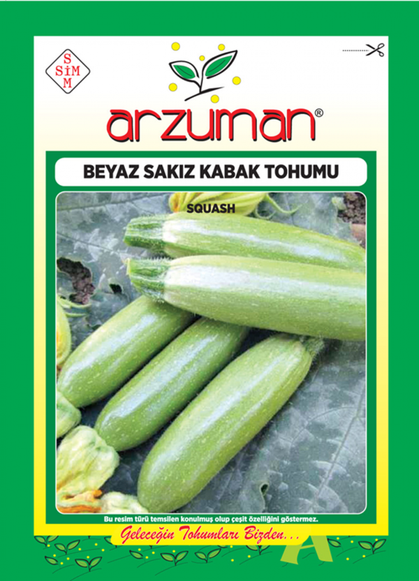 BEYAZ SAKIZ KABAK TOHUMU 10 GR ORT 75 AD TOHUM - Image 1