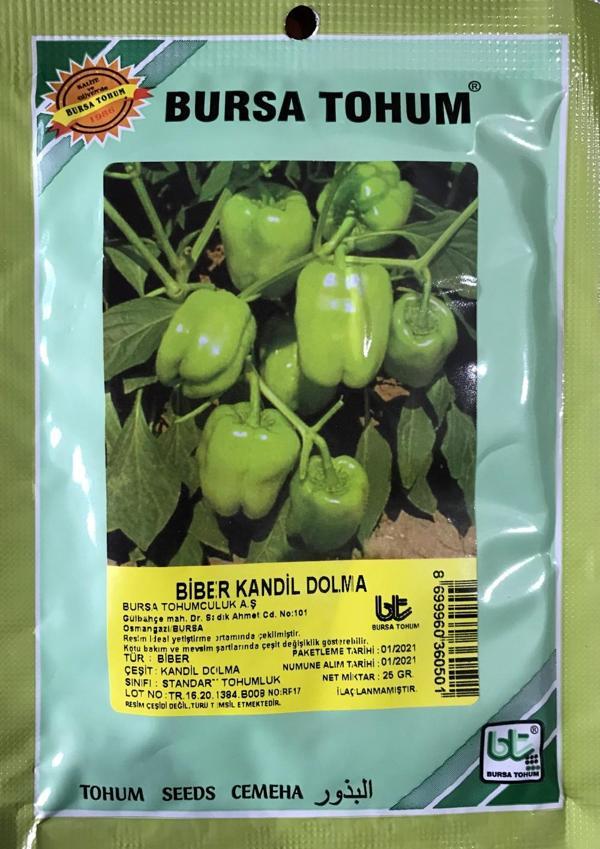 BİBER TOHUMU KANDİL DOLMA (25 GR 3000 ADET TOHUM) - Image 1